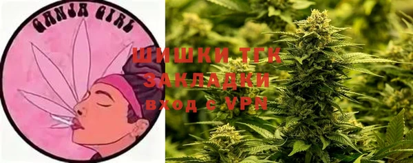 Альфа ПВП Армянск