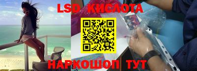 прущие грибы Партизанск