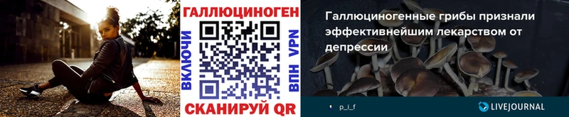 Галлюциногенные грибы MAGIC MUSHROOMS  мега как войти  Тында 
