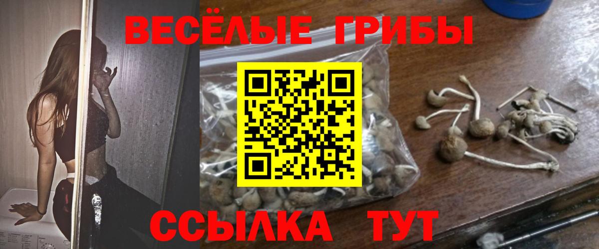 Галлюциногенные грибы мицелий  Вход с VPN  Галлюциногенные грибы ЛСД  Тында 